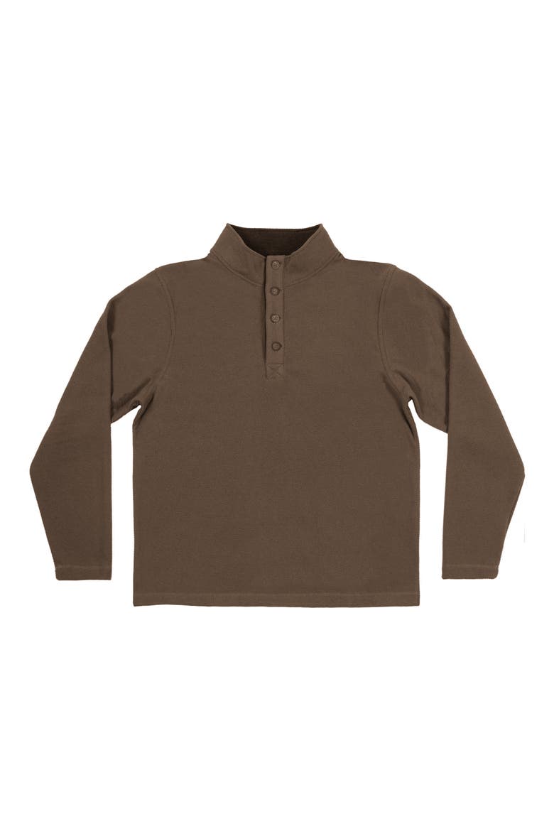 Jacquard Henley Sweatshirt, Main, color, HAZELNUT