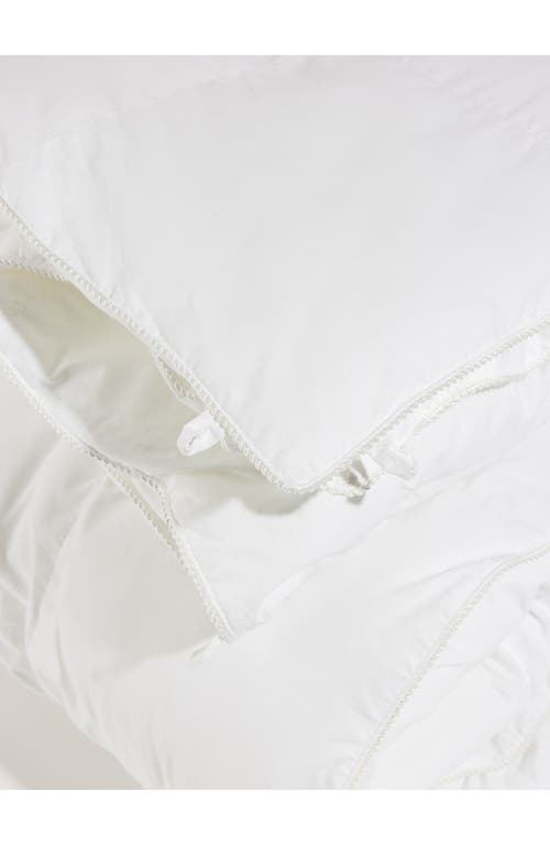 Cozy Earth Down Alternative Comforter In White