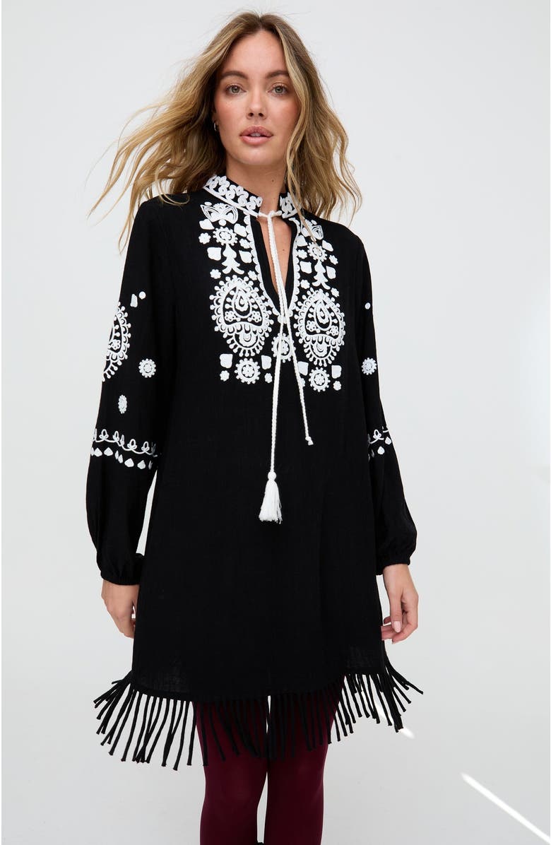 Raffya Katie Fringe Embroidered Mini Dress, Alternate, color, Black