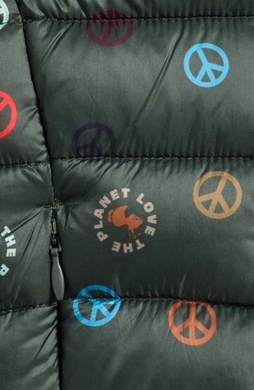 Save The Duck Dag Puffer Jacket In Multi