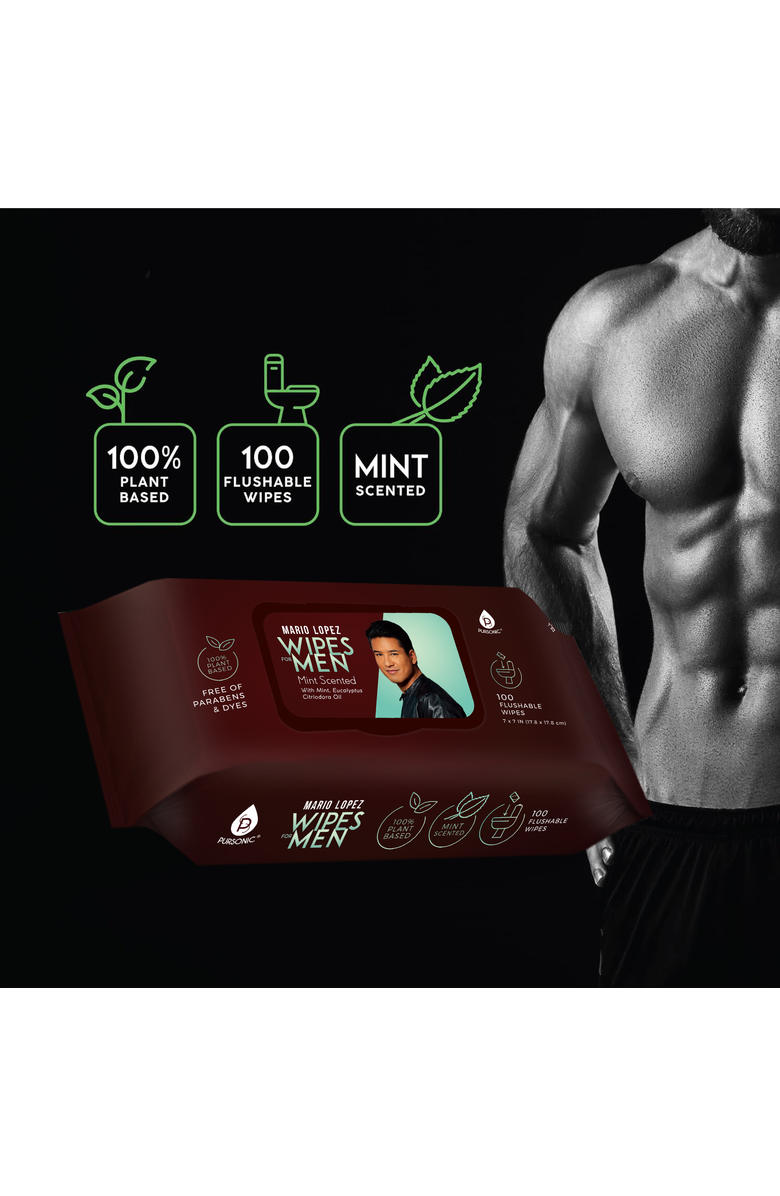 PURSONIC - 12 Pack of Flushable Mario Lopez Man Wipes, Alternate, color, Brown