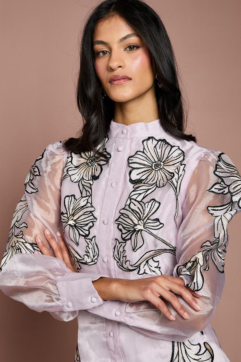 Petite Embroidered Midi Dress, Alternate, color, Blush