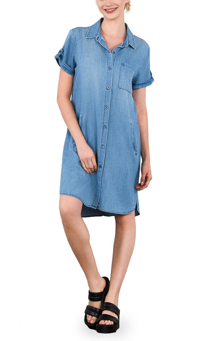 Billy T Denim Shirtdress, Main, color, Denim