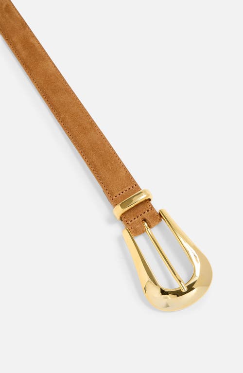 Aureum No. 17 Suede Belt In Honeycomb Suede/gold