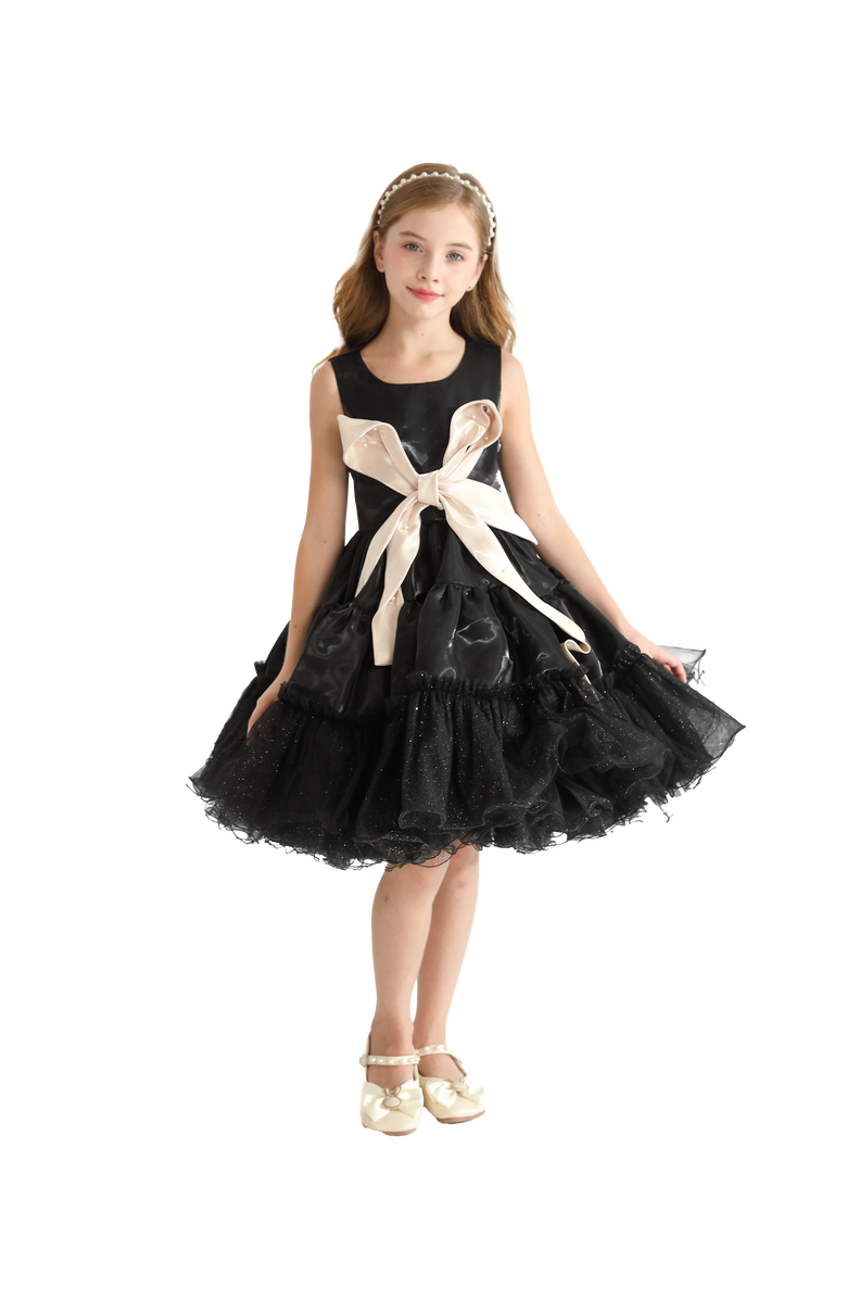 Tulleen Madrona Dress, Alternate, color, Black