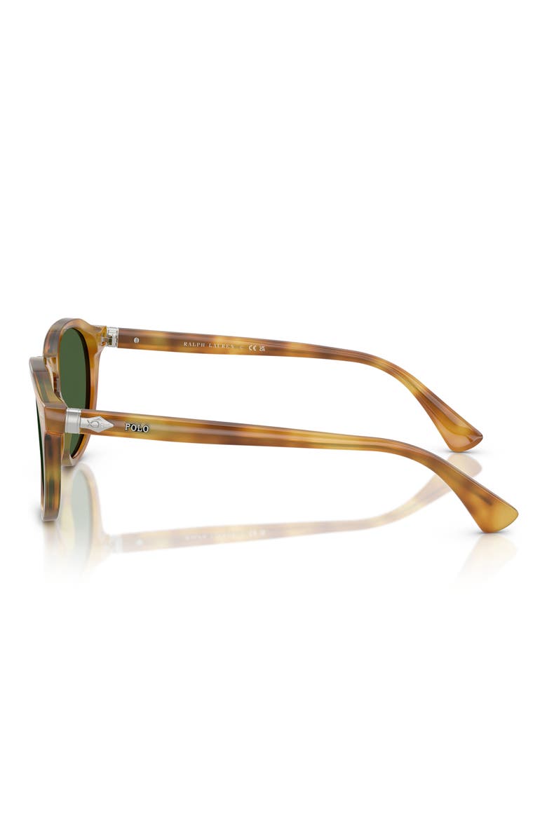 52mm Phantos Sunglasses, Alternate, color, TORTOISE LIGHT BROWN / GREEN