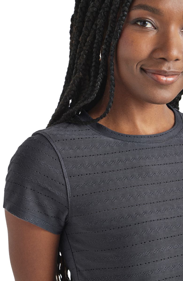 Splendid Palmer Pointelle Stripe T-Shirt, Alternate, color, 