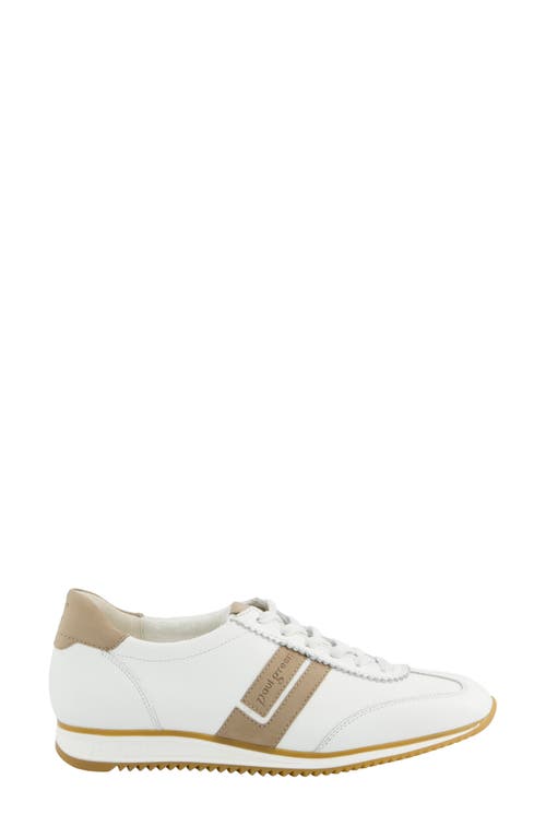 Paul Green Bellevue Sneaker In White Antelope Combo