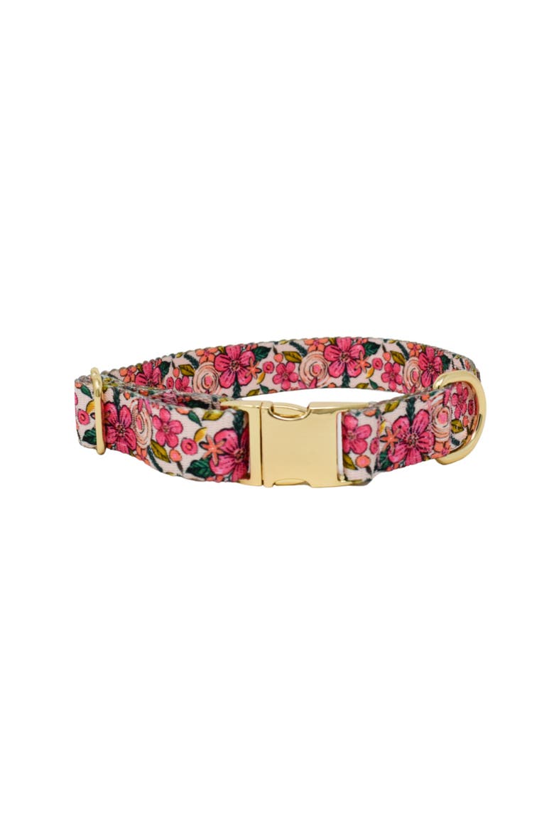 Gianna Dog Collar, Main, color, Gianna