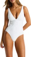 Sea Level Panel Line Multifit One-Piece Swimsuit