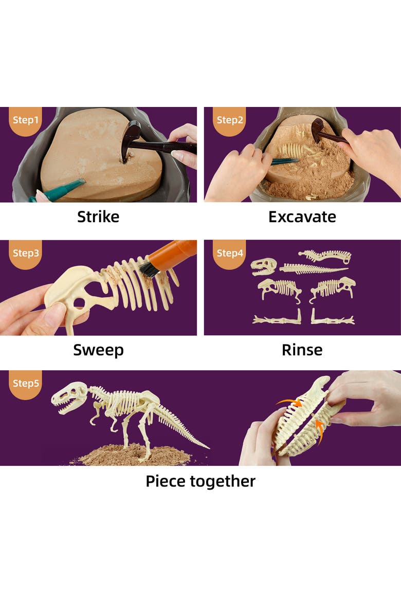 Science Can Tyrannosaurus Rex Dinosaur Fossil Dig Kit 8+, Alternate, color, Multicolored
