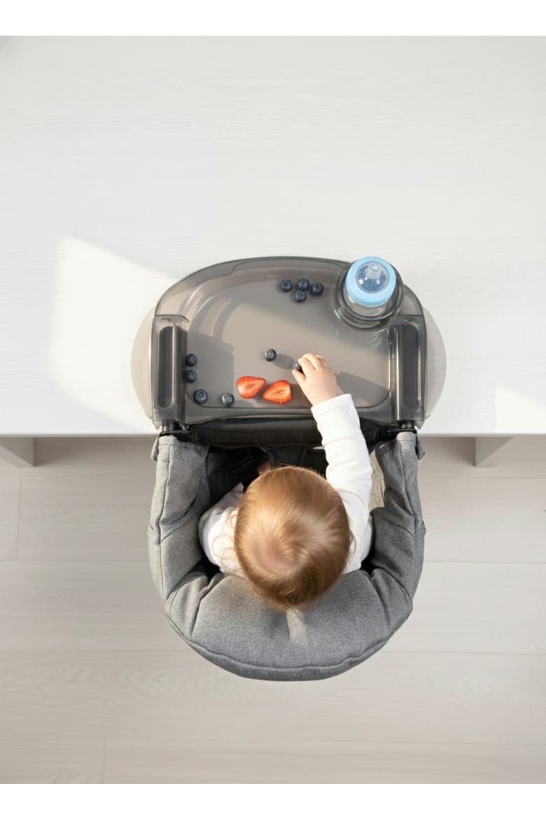 Perch Dining Tray for Hook-On High Chair, Baby Mealtime Tray, Alternate, color, Grey