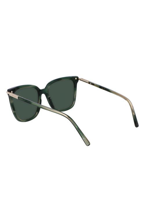 Ferragamo Prisma 56mm Modified Butterfly Sunglasses In Striped Green