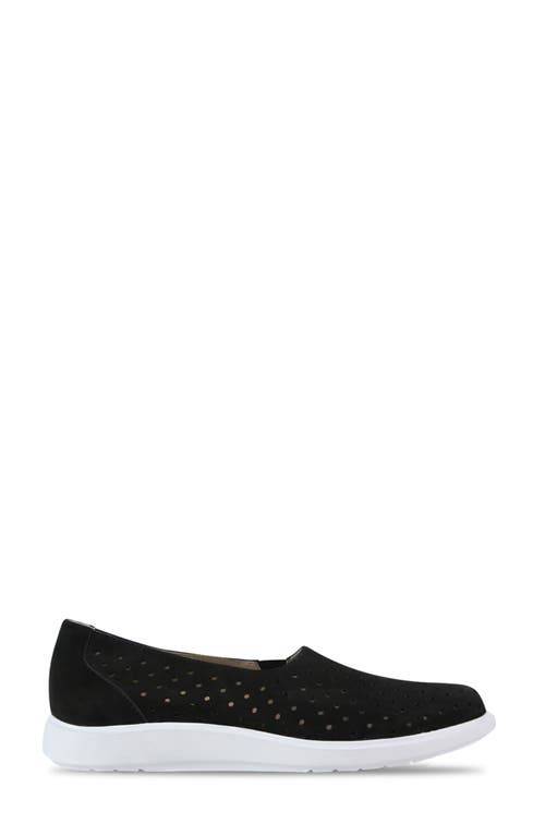 Munro Ridley Perforated Sneaker In Black Nubuck