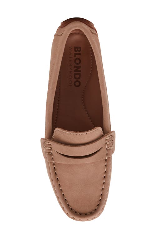 Blondo Shellby Waterproof Driving Loafer In Brown