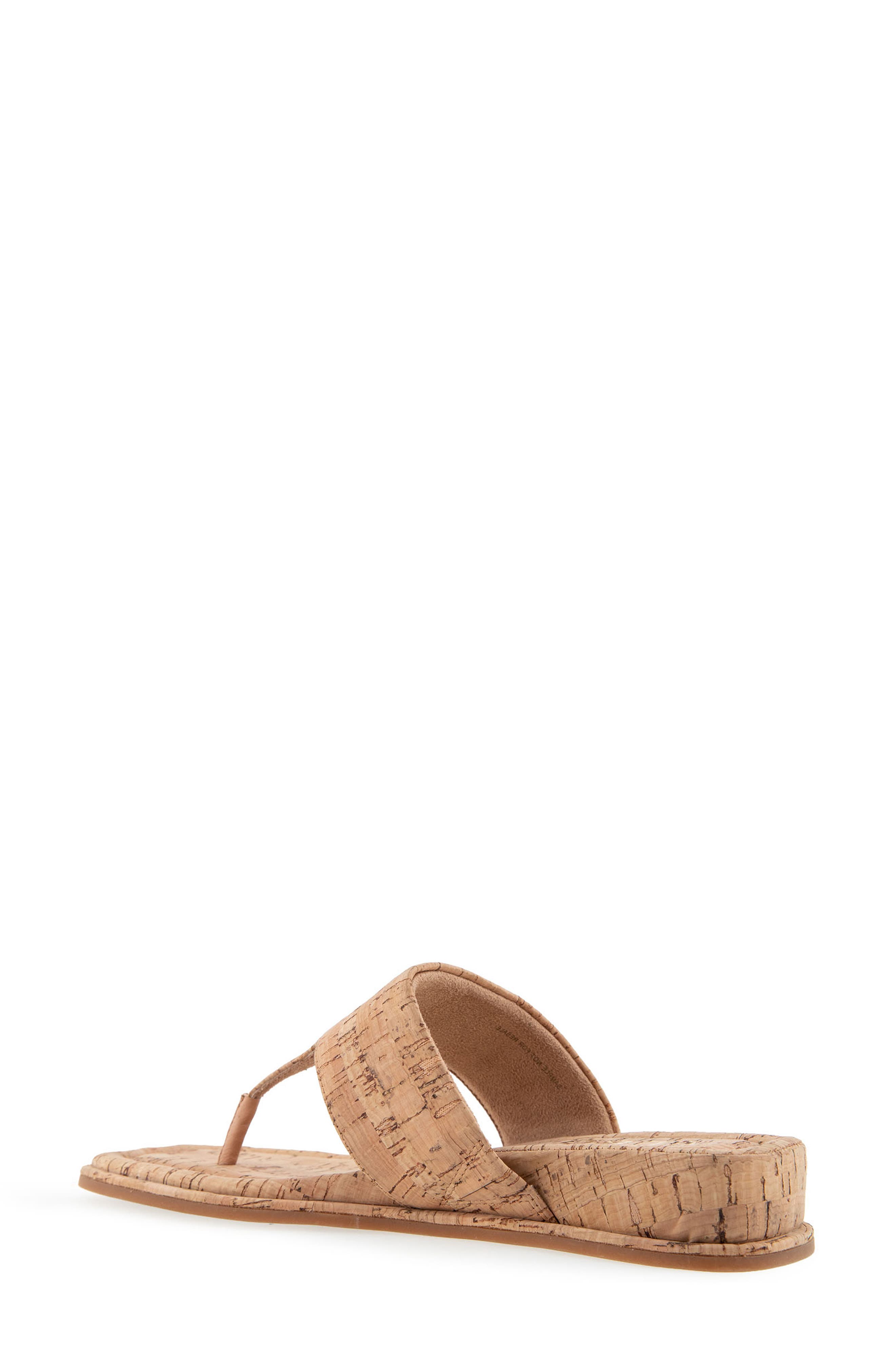 Aerosoles Barry T-Strap Sandal, Alternate, color, Cork Combo