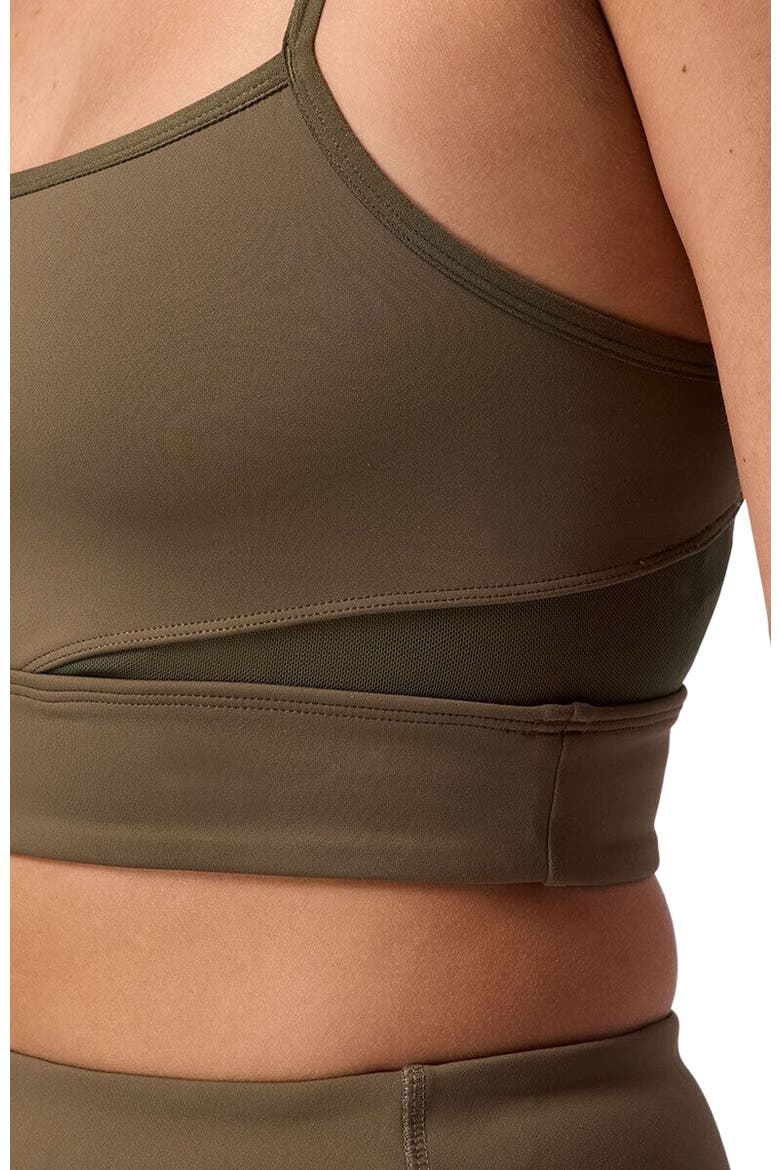 Destination Square Neck Bra Top - Women's, Alternate, color, Kalamata