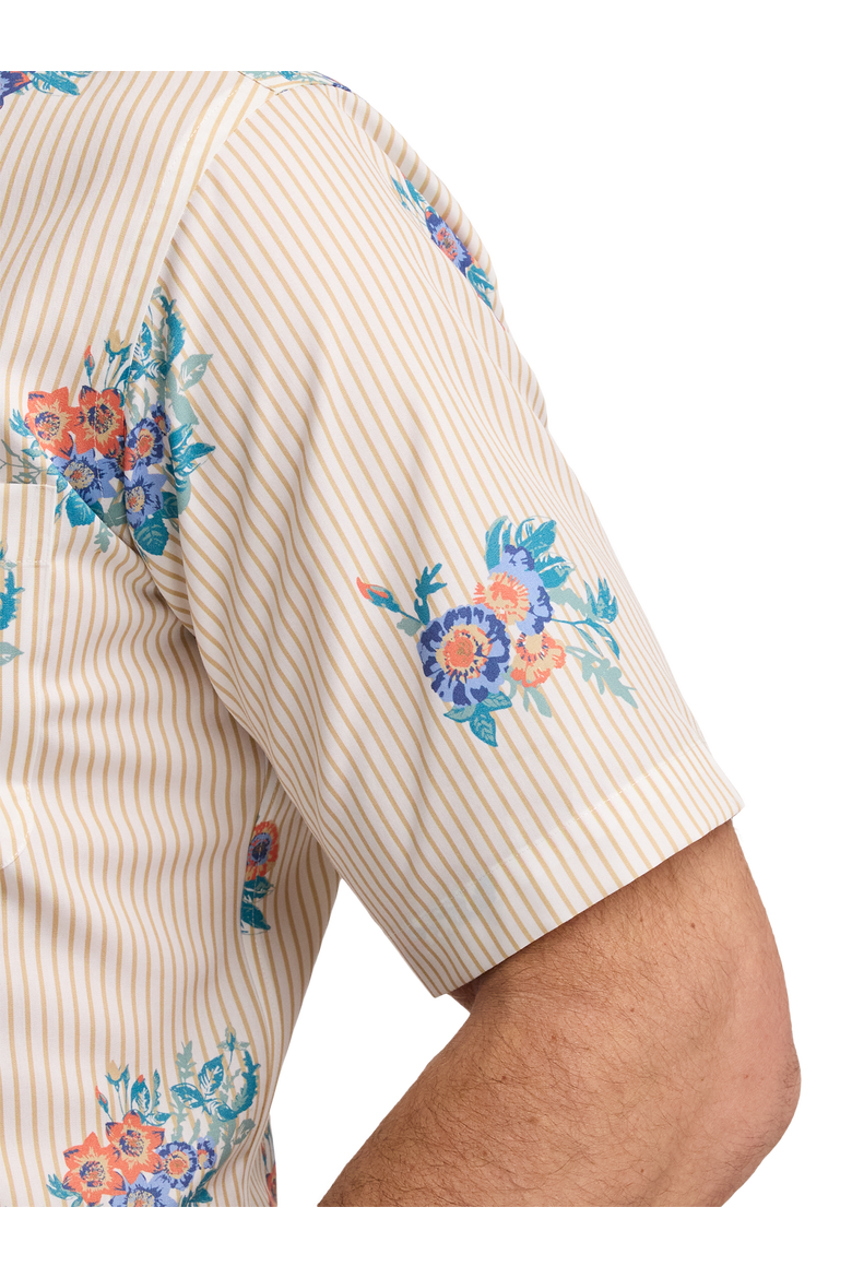 Cotton Buttondown Collar Poplin Classic Contrast Trim Hemmed Sleeve Short Sleeve Shirt, Alternate, color, Tan Multi