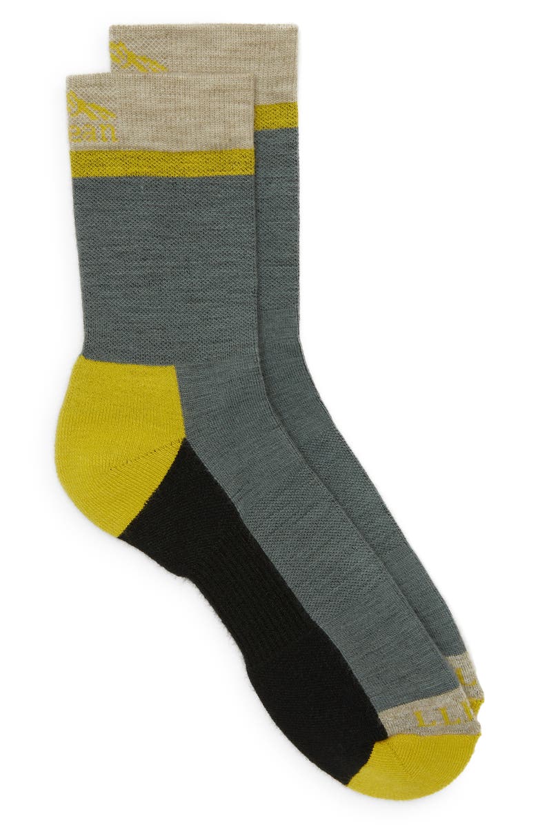L.L.Bean L.L. Bean Primaloft Merino Wool Blend Performance Crew Socks, Main, color, 