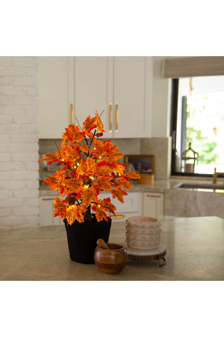2-ft Pre-Lit Autumn Maple Artificial Fall Tree with Acorns & Pinecones and 18 Warm White LED Lights, Alternate, color, Orange