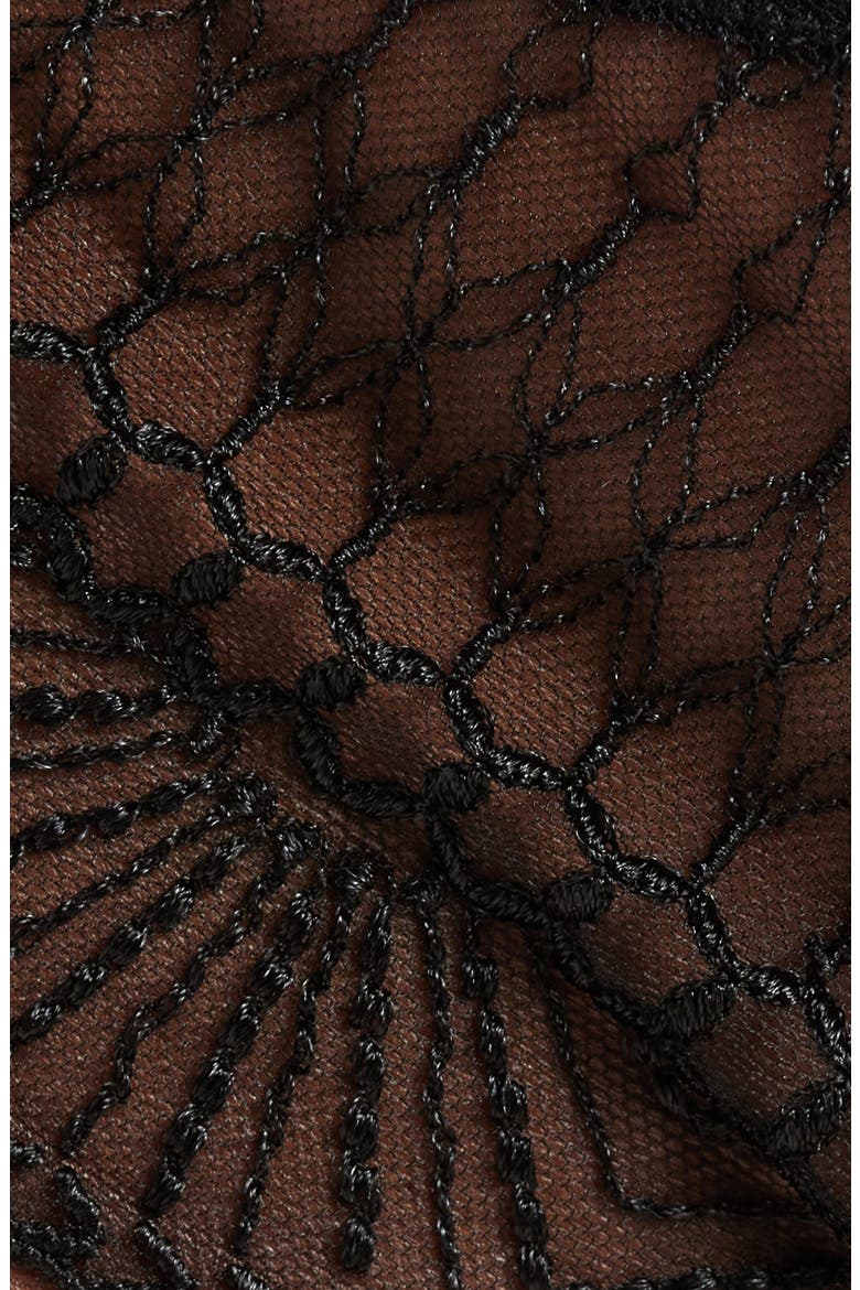 Rosace Embroidered Tulle Tanga, Alternate, color, BLACK