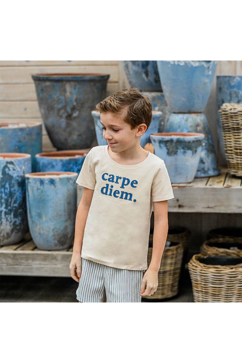 Carpe Diem Raw Edge T-Shirt, Alternate, color, Natural