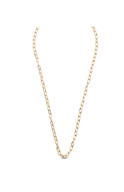 Enamel Copenhagen Medium Charm Necklace In Gold