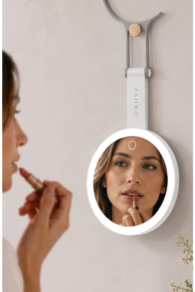 Multi-Position Lighted Travel Hand Mirror with 10X/1X Magnification, Alternate, color, White/Silver