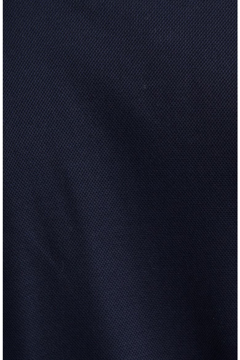 Polo Bear Patch Cotton Piqué Polo, Alternate, color, CLASSIC CHAIRMAN NAVY