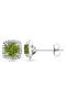 selected 0.97Ct, Peridot