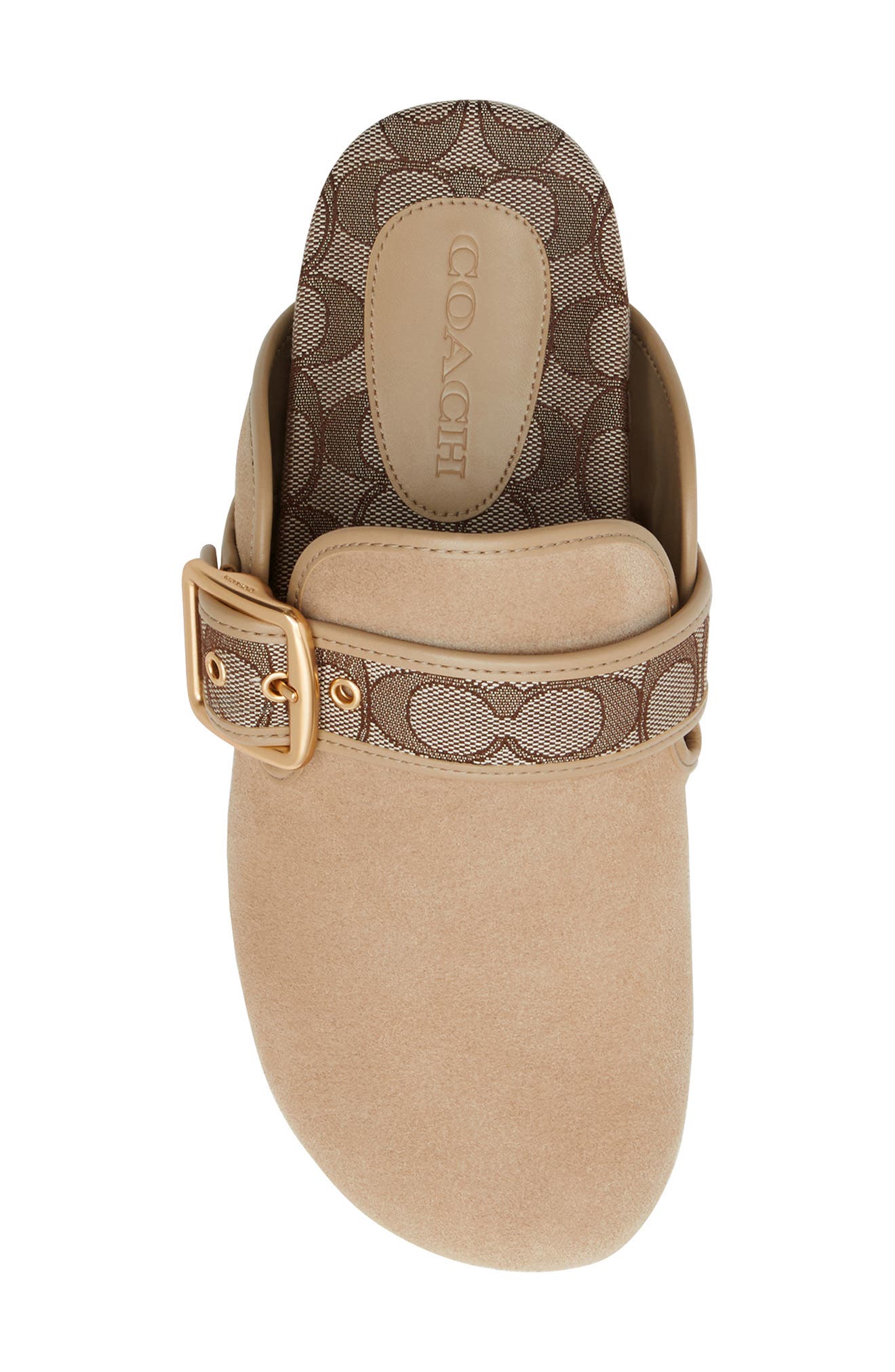 COACH Archival Buckle Mule, Alternate, color, Oat