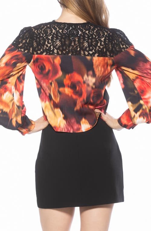 Alexia Admor Bryne Lace Trim Top In Brown