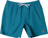 Quiksilver Everyday Solid Volley Swim Trunks