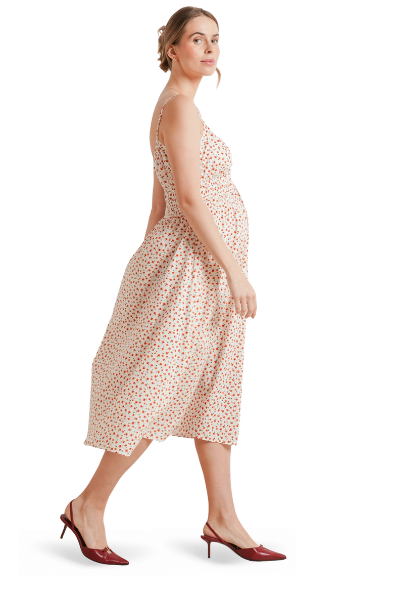 Roma Maternity & Nursing Dress, Alternate, color, Red Poppy Floral