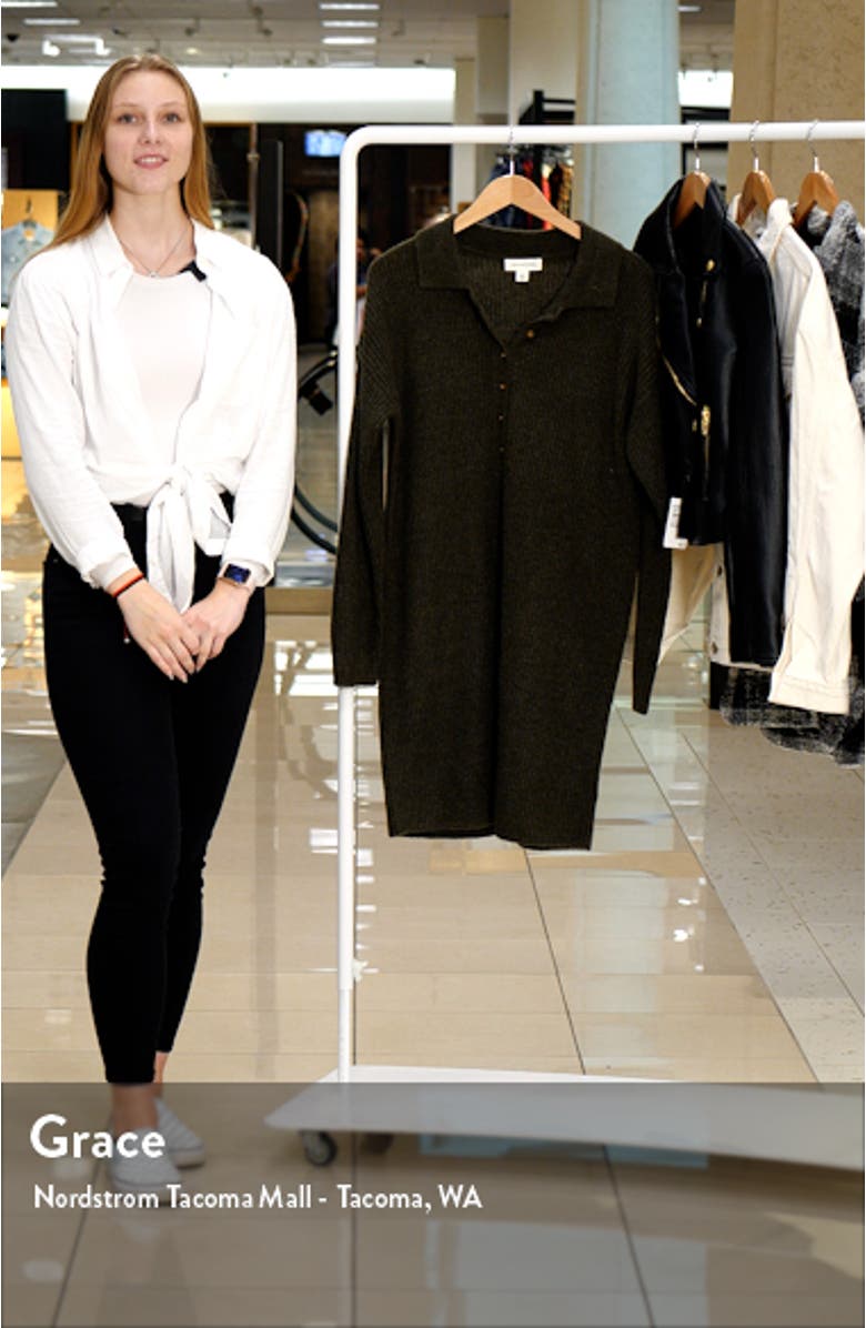 Polo Long Sleeve Sweater Dress, sales video thumbnail