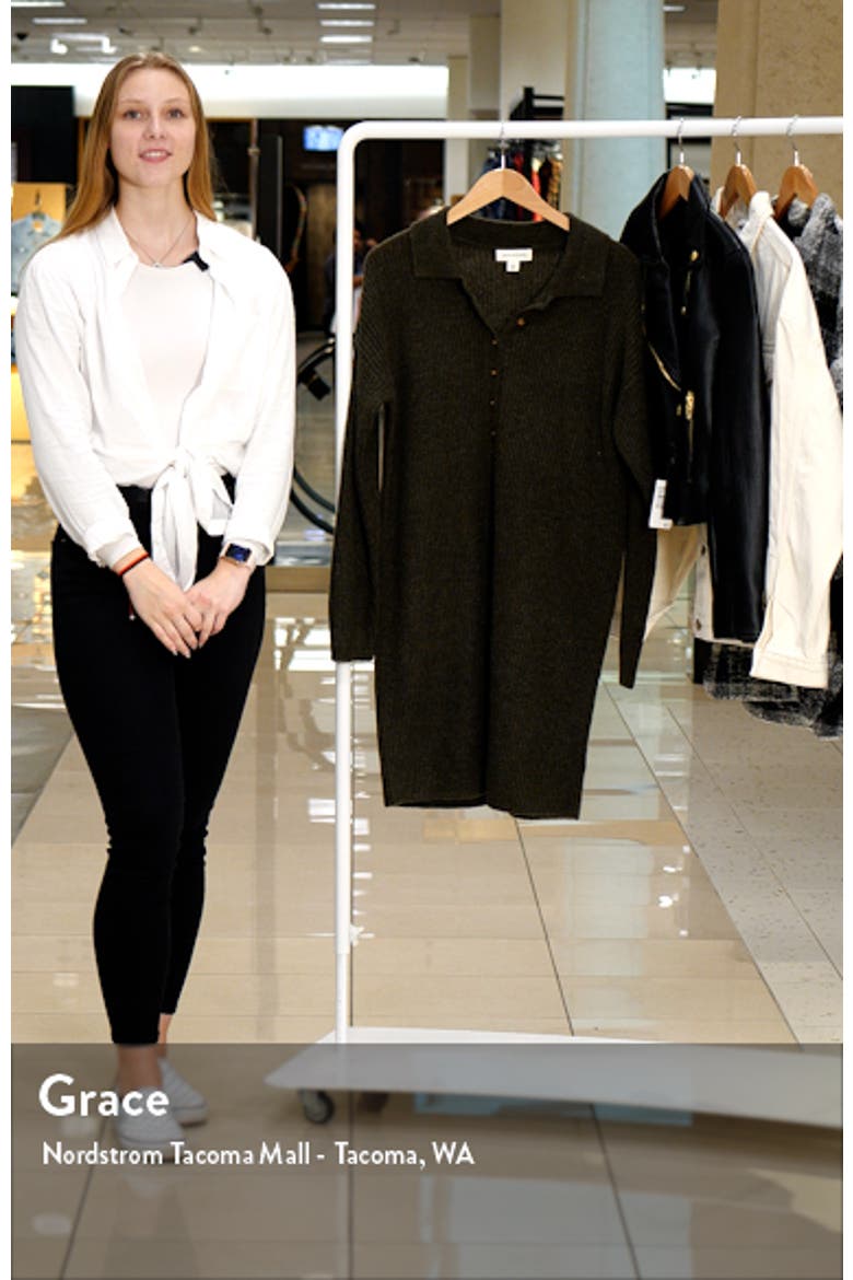 Polo Long Sleeve Sweater Dress video