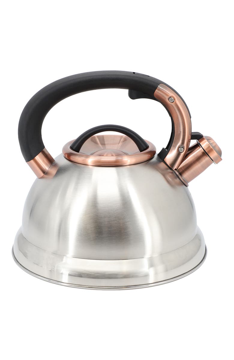 Mr. Coffee Flintshire 2.2 Quart Stainless Steel Whistling Tea Kettle, Alternate, color, Metallic Silver