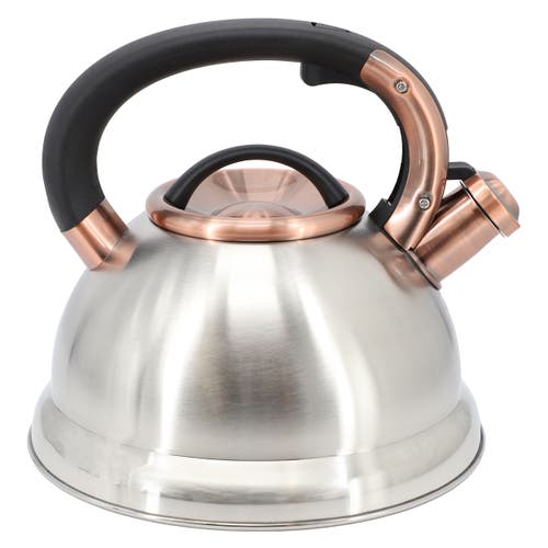 Mr Coffee Mr. Coffee Flintshire 2.2 Quart Stainless Steel Whistling Tea Kettle In Silver