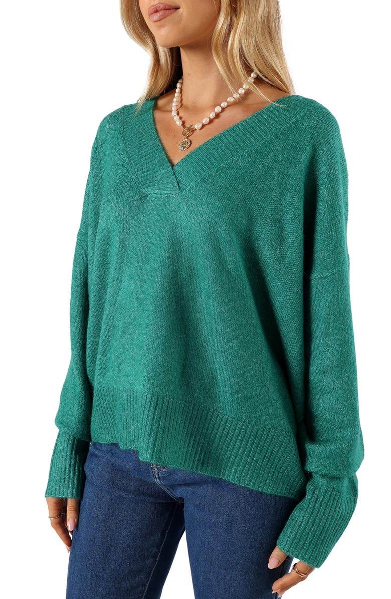Petal & Pup Palmer V-Neck Sweater, Main, color, 