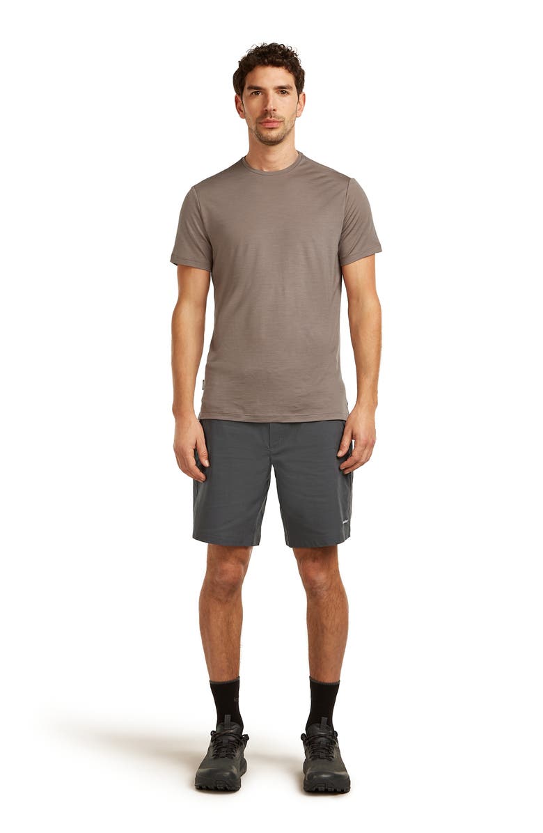 Icebreaker Merino 125 Cool-Lite<sup>™</sup> Sphere T-Shirt, Alternate, color, Porcini