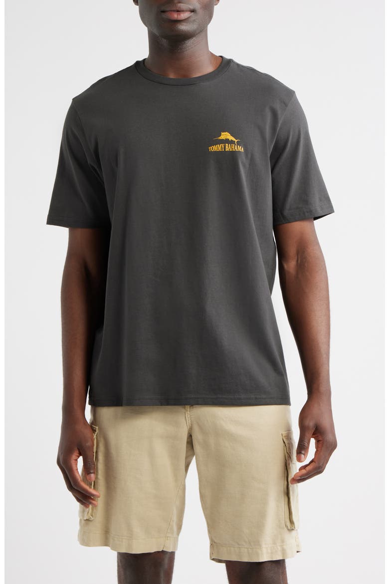 Golden Labation Graphic T-Shirt, Main, color, COAL