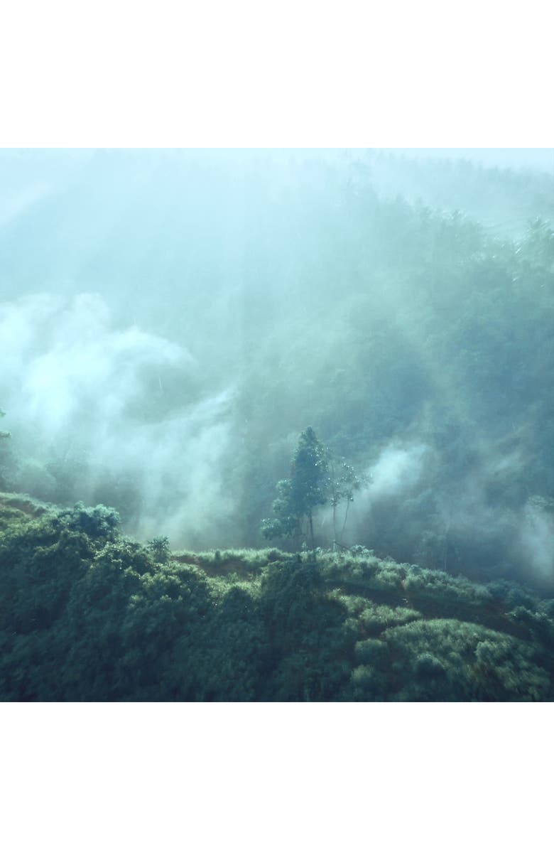 Estée Lauder Luxury Collection Radiant Mirage Eau de Parfum, Alternate, color,