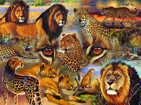 Big Cats of the Plains 500 piece Jigsaw Puzzle for Adults