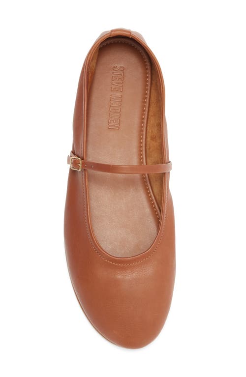 Steve Madden Besette Mary Jane Flat In Brown