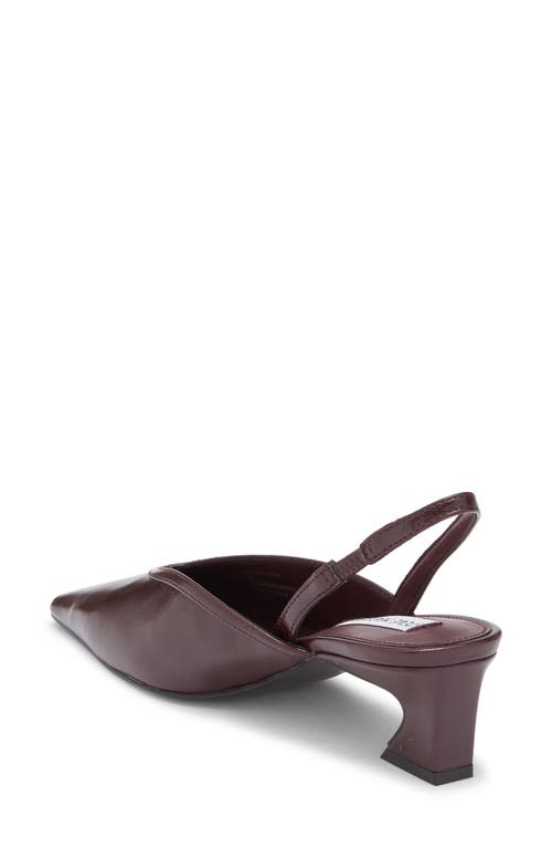 Steve Madden Haleigh Slingback Pump In Burgundy