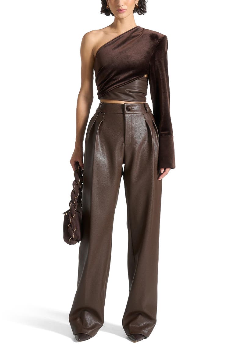 Coralie One Sleeve Velour Wrap Top, Alternate, color, Brown