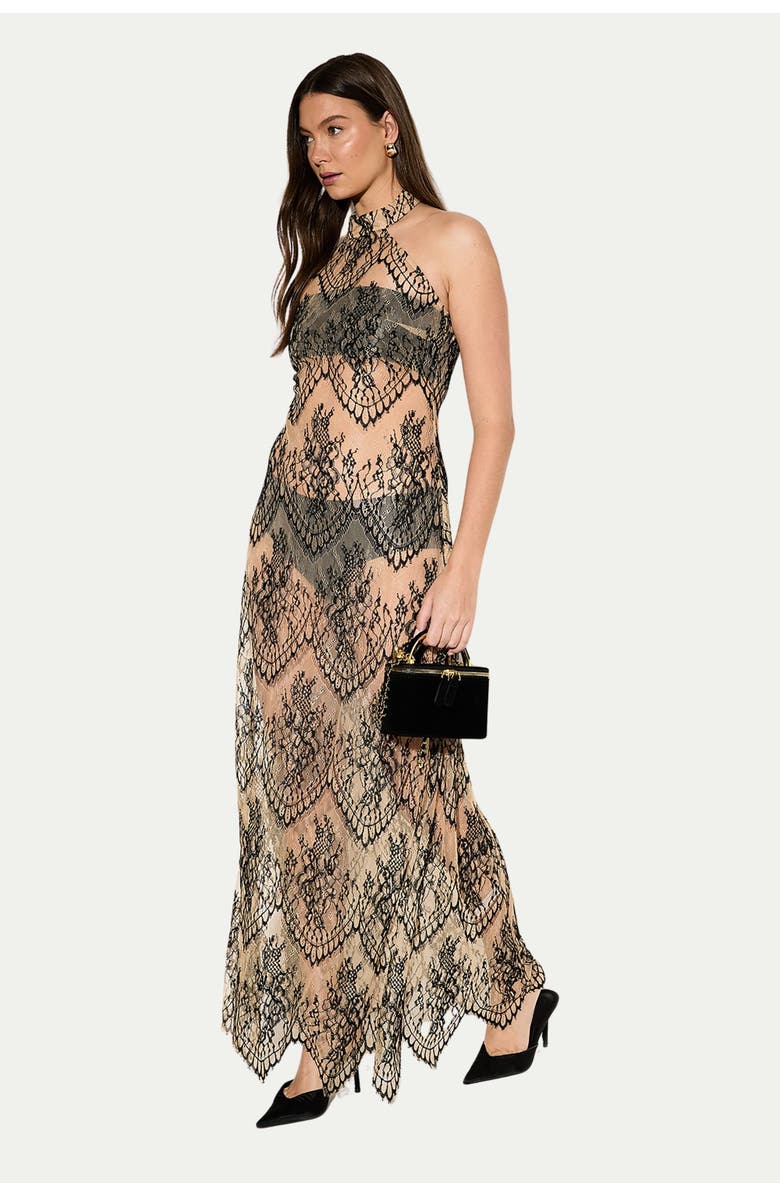 MissPap Premium Sheer Lace Maxi Dress, Main, color, Nude