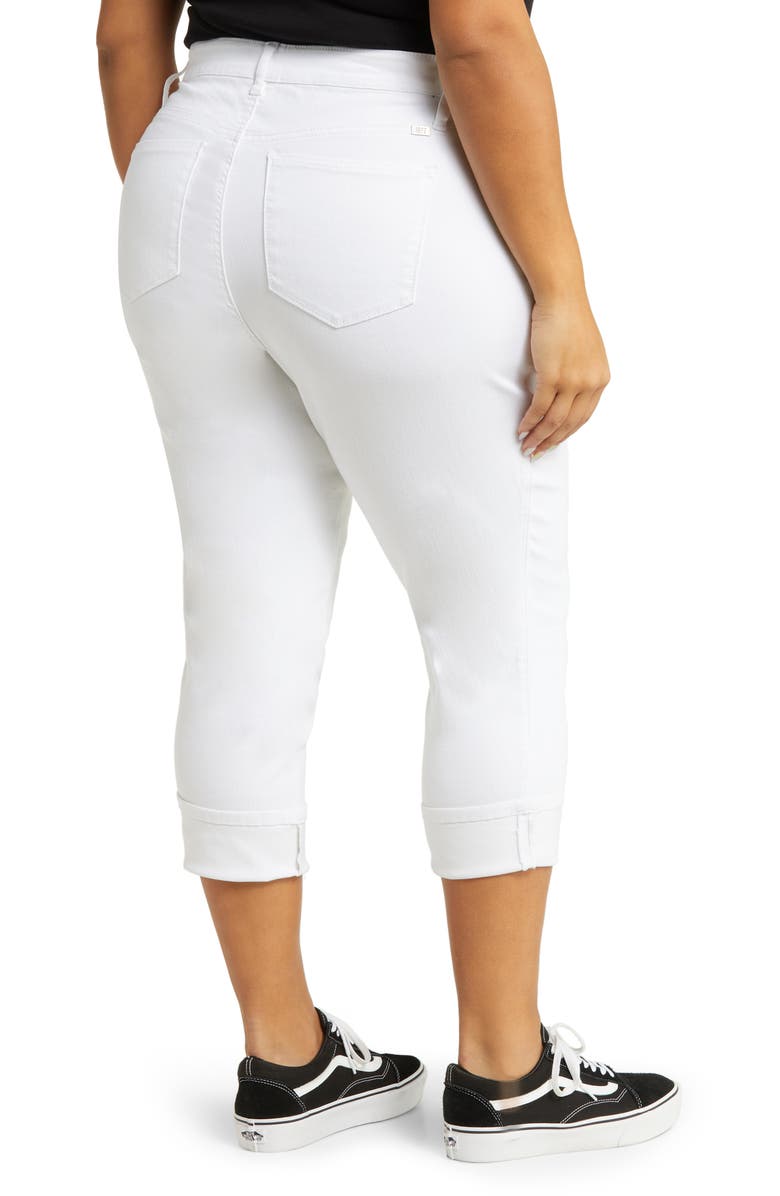 1822 Denim Crop Skinny Jeans, Alternate, color,