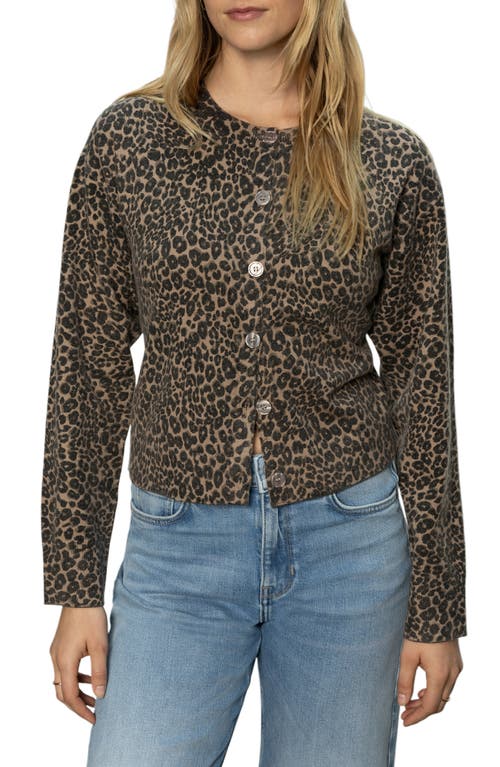 Sanctuary Must-have Cardigan