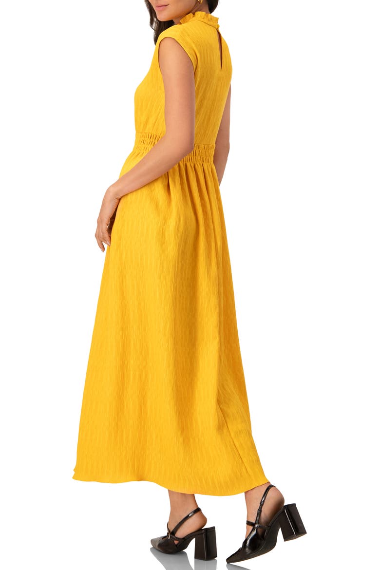Sleeveless High Neck Long Dress, Alternate, color, Yellow